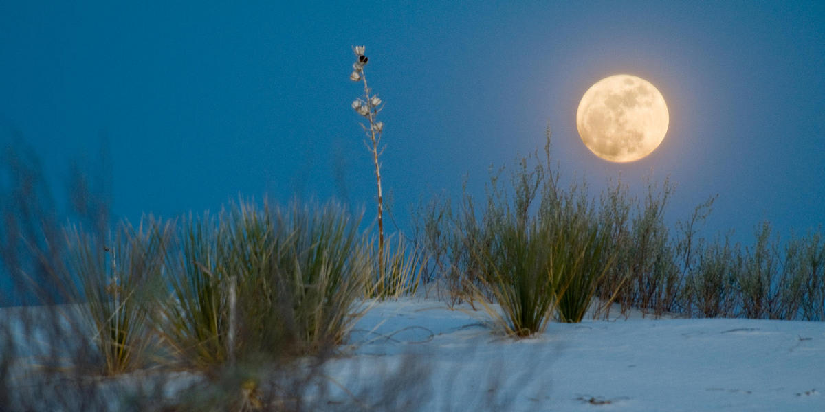 white sands with full moon